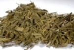 Bancha kbA