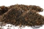 Assam FTGFOP1 2nd flush "Mokalbari" Golden tipped