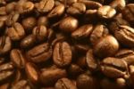 Bio Peru