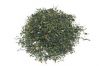 Darjeeling FTGFOPI first flush Singell
