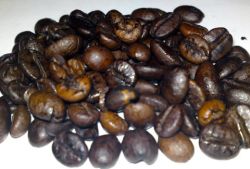 Espresso Forte Kaffee langzeitgeröstet