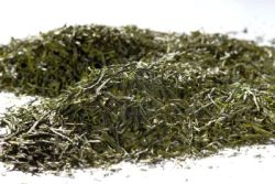Japan Gyokuru Bio grüner Tee