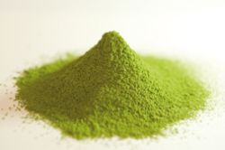 Japan Matcha Biotee grüner Tee
