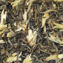 Grüner Drache grüner Tee