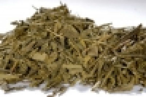 Bancha Bio grüner Tee