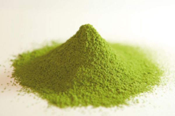 Japan Matcha Biotee grüner Tee