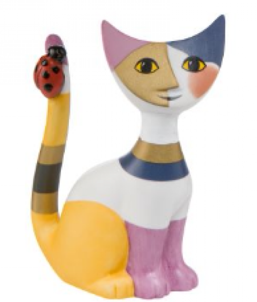 Katze Piccola coccinella