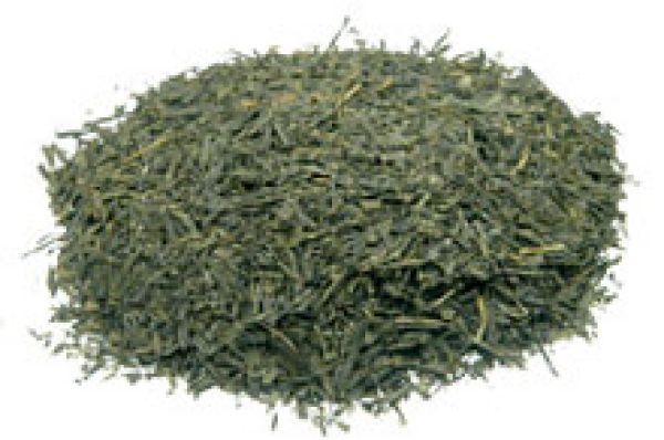 Sencha Ogasa grüner Tee