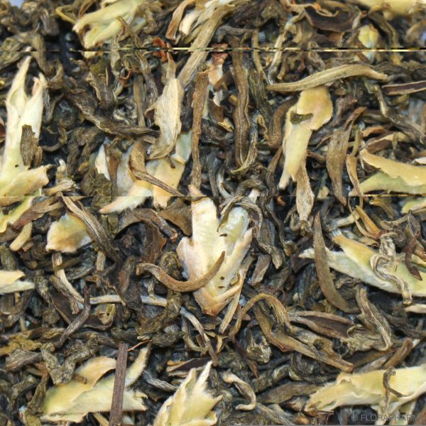 Grüner Drache grüner Tee